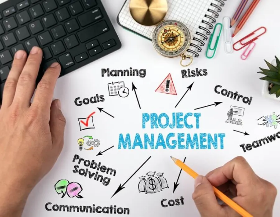 Project Manager